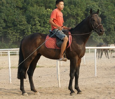 好马