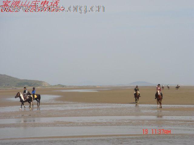 青岛马协宝湖杯沙滩马术精彩新片！续！