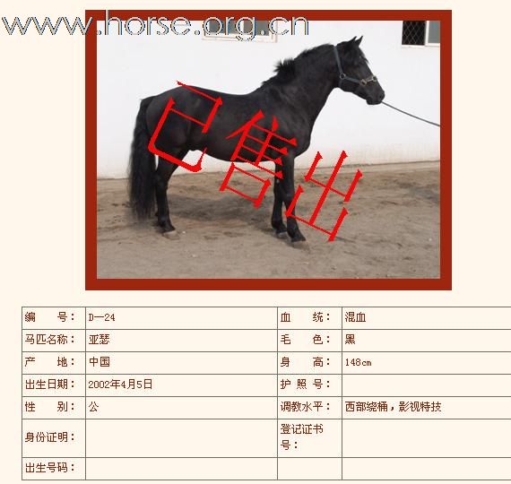 如下半血马已售出（第三组）