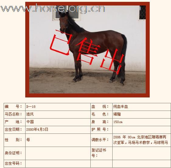 如下半血马已售出（第三组）