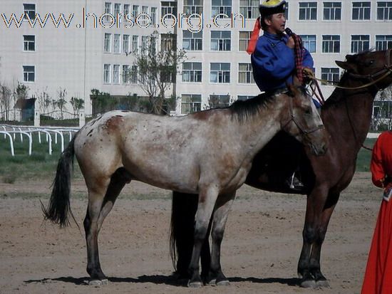 內蒙之行 ~ 亮麗人物誌(四)
