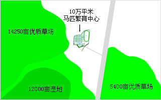 燕龙国际良种马繁育基地一期建成，年产良种马百匹！