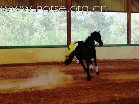 9月22日中国选手首次出征马篮球欧洲杯