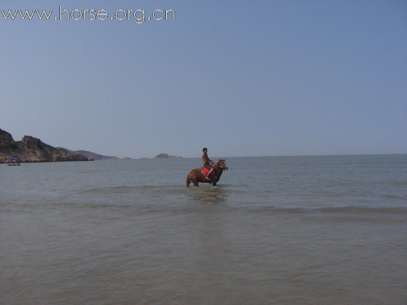 海边骑马  别样风情