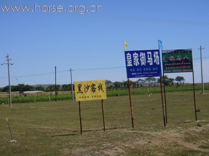 塞北+太仆寺旗=美丽+放马狂奔