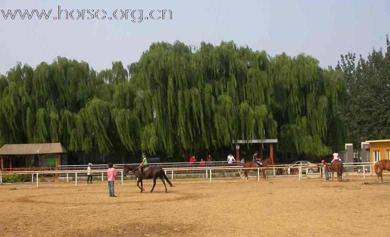 东都骐骥马术俱乐部浓情9月三折体验