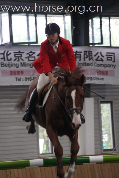 2009年全国马术（场地障碍）锦标赛成功召开