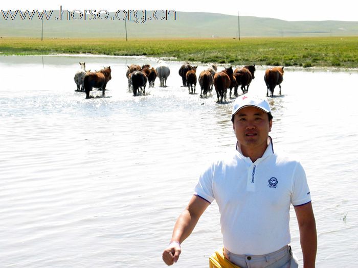 耐力赛，锡盟东乌马群，图片