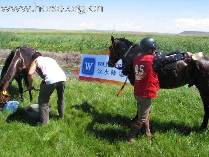 锡盟国际耐力赛——降温区