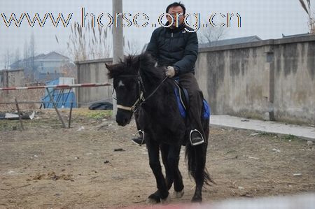 瓢城骑兵营给大家问好