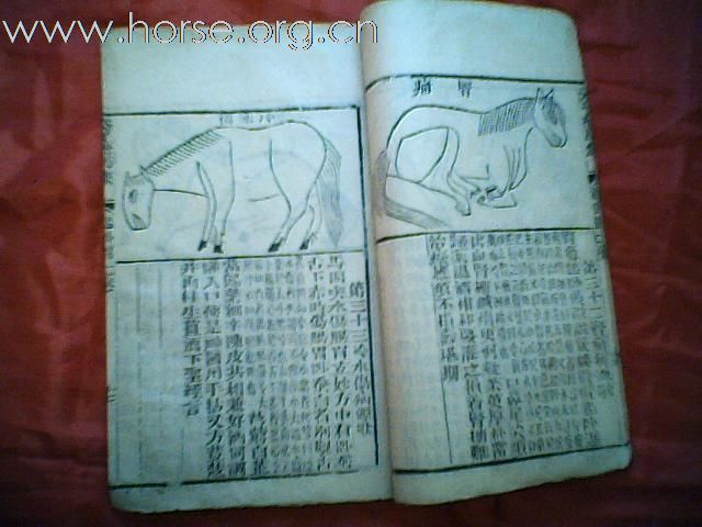 出售清代元亨疗马集