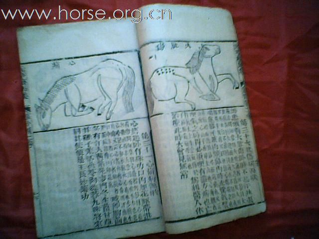 出售清代元亨疗马集