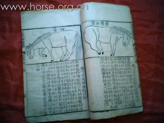 出售清代元亨疗马集