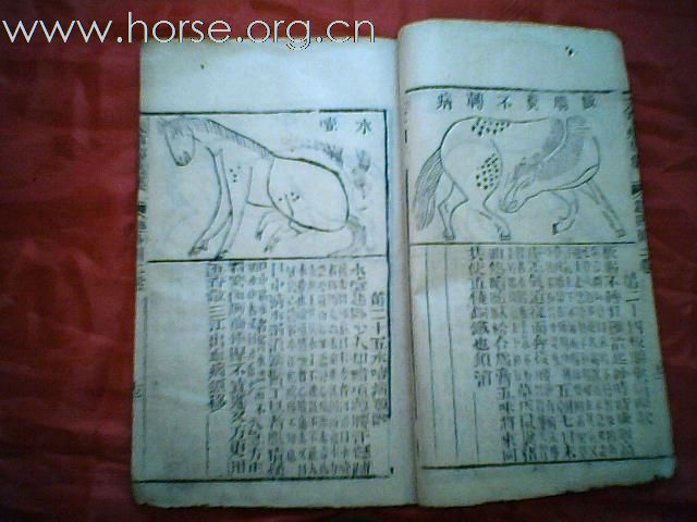 出售清代元亨疗马集