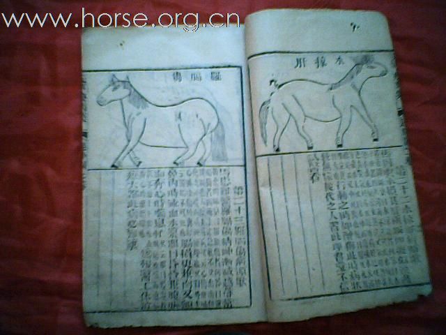 出售清代元亨疗马集