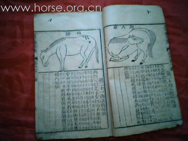 出售清代元亨疗马集