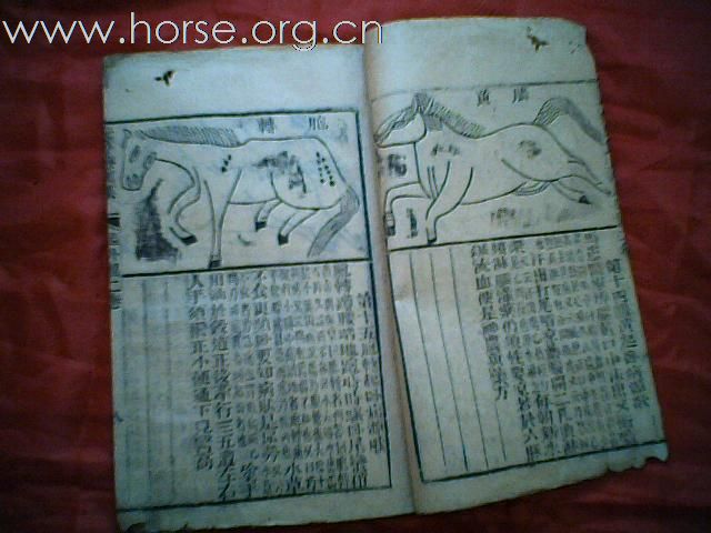 出售清代元亨疗马集