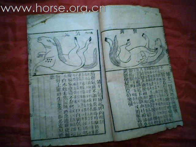 出售清代元亨疗马集