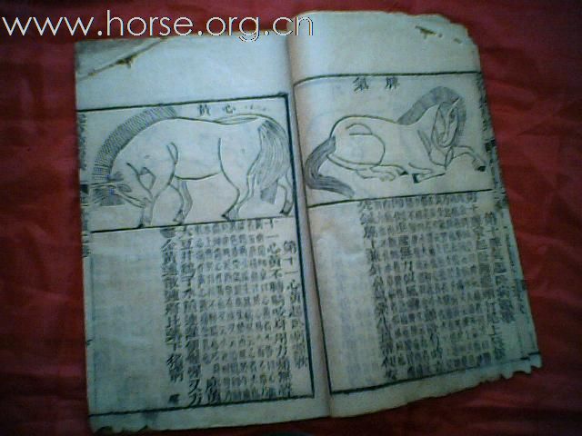 出售清代元亨疗马集