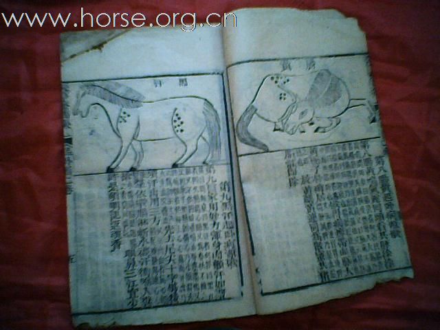出售清代元亨疗马集