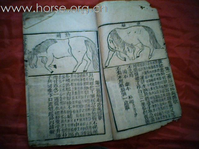 出售清代元亨疗马集