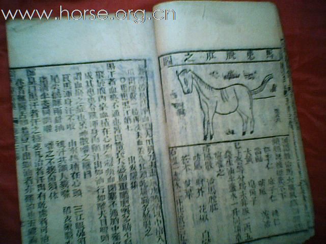 出售清代元亨疗马集