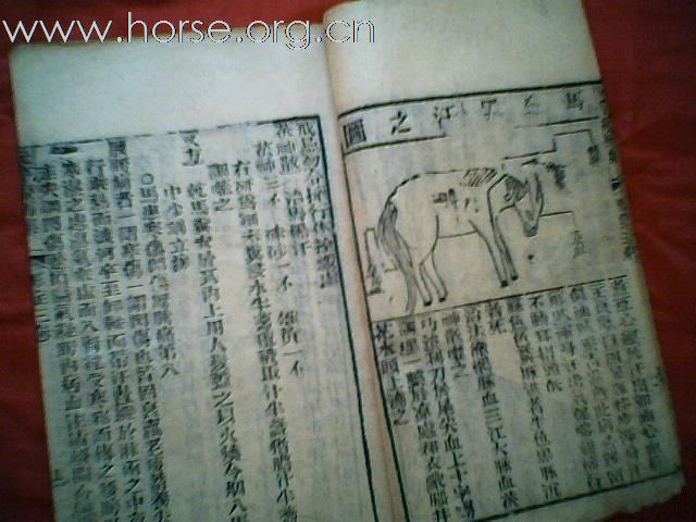 出售清代元亨疗马集