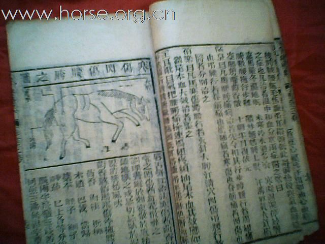 出售清代元亨疗马集