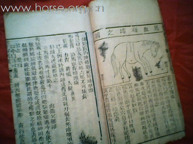 出售清代元亨疗马集