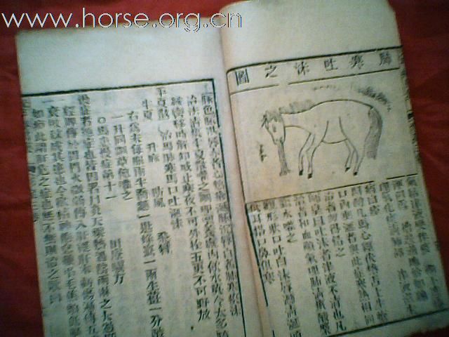 出售清代元亨疗马集