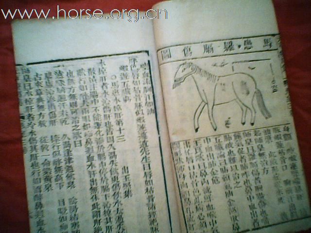 出售清代元亨疗马集