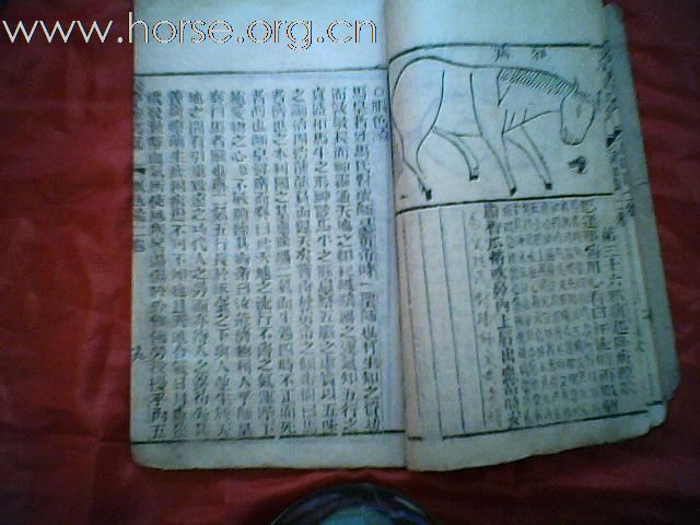 出售清代元亨疗马集