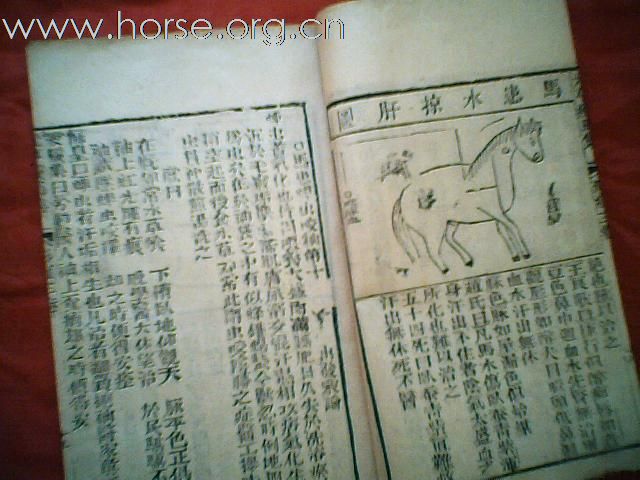 出售清代元亨疗马集
