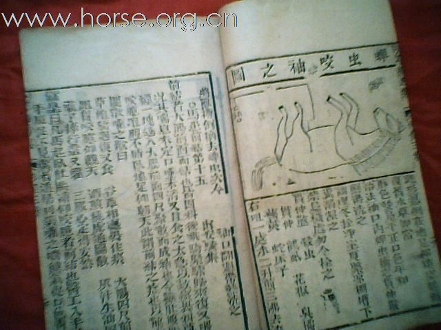 出售清代元亨疗马集