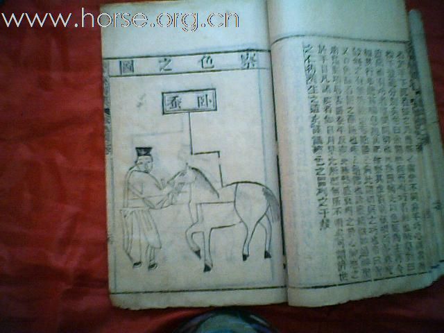 出售清代元亨疗马集