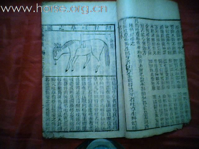 出售清代元亨疗马集