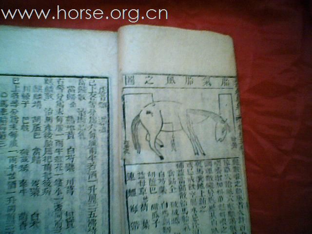 出售清代元亨疗马集