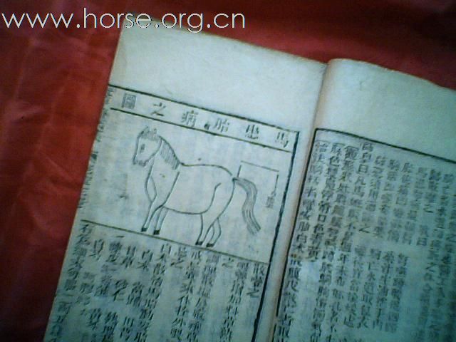出售清代元亨疗马集