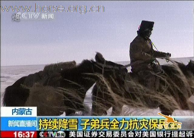 内蒙古某骑兵营全力救援被大雪围困的牧民