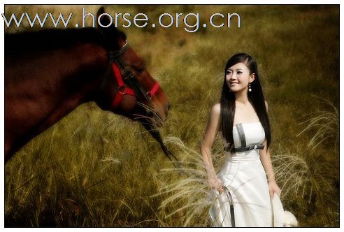 [贴图]骏马 美女 帅哥及马文化