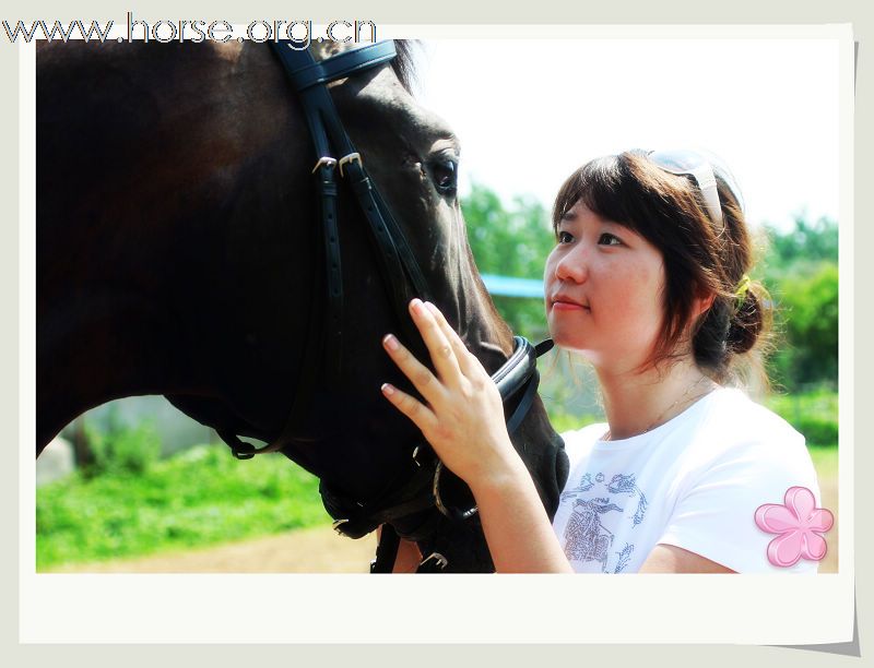 [贴图]骏马 美女 帅哥及马文化