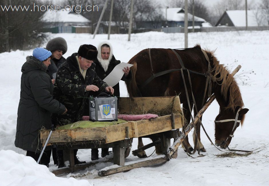 乌克兰大选遭遇大雪，马车投票站发挥作用