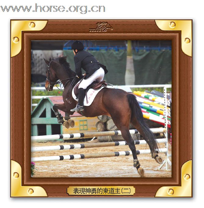 晓光手记：直击广东省2010年第一届柏骏马术场地障碍邀请赛(一)
