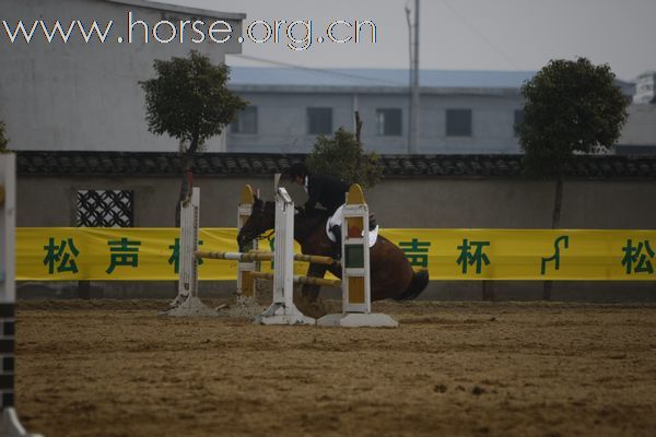 松声俱乐部邀请赛（障碍）照片