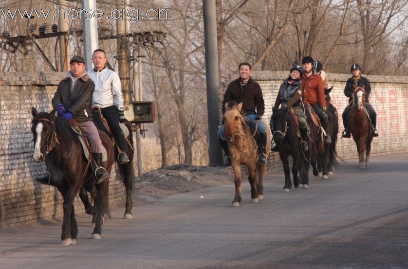 2010年元旦骑马活动纪实(续)