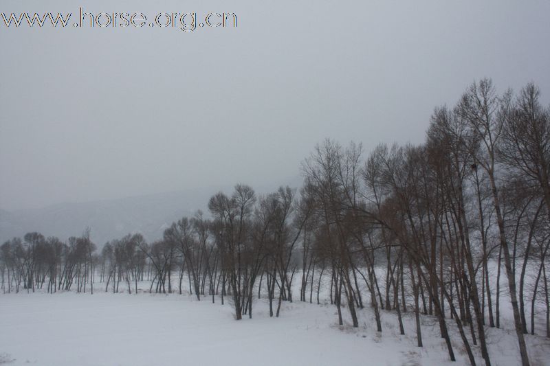 史上最冷时的塞北林场－延庆－怀柔