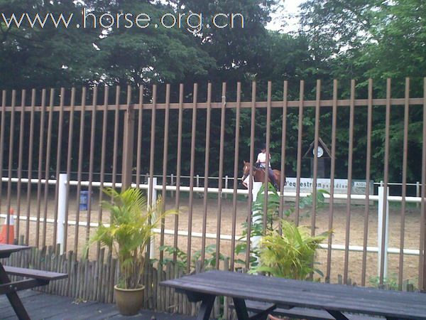 新加坡Gallop Stable -家门口的骑马好去处