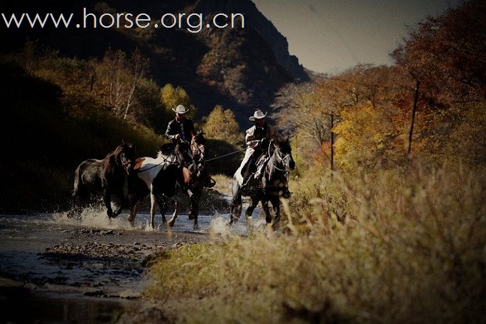 马背生活系列之一  ——丰宁坝上至北京南归传