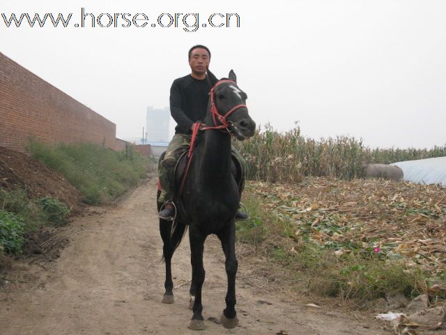 卖马