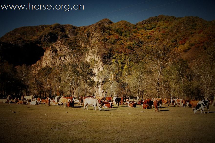马背生活系列之一  ——丰宁坝上至北京南归传